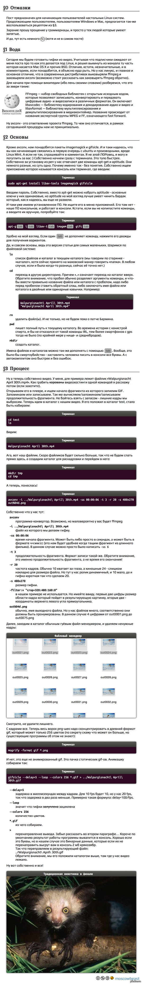 Convert video to GIF for Linux (and more) - My, Linux, Ffmpeg, For subscribers, For beginners, Longpost