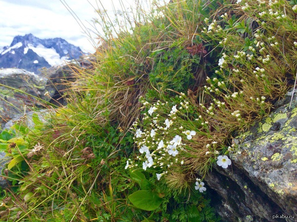 Высоко в горах