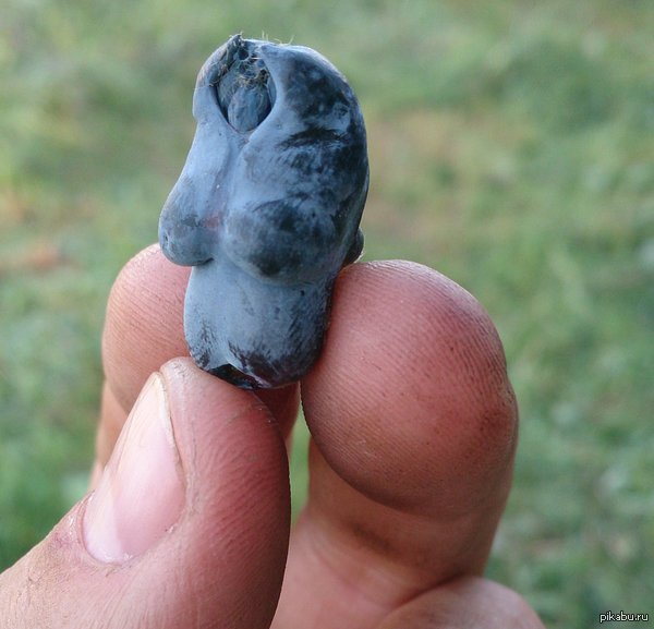 ���� ���� ��������� �� ������ ��������� ����������..