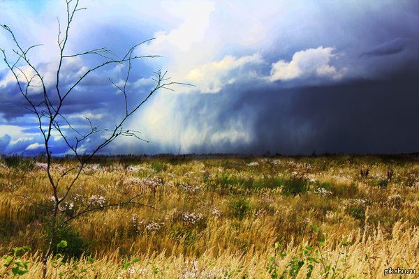 ����� ��� ������ ����� ������.