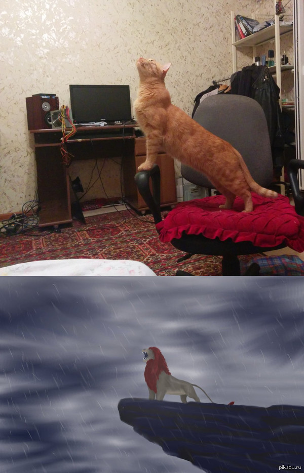 ������ �������