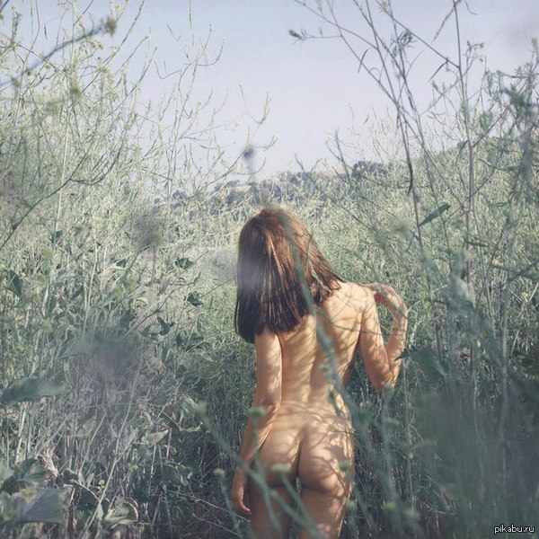 In field - NSFW, Erotic, Girls, Booty, Field, Figure