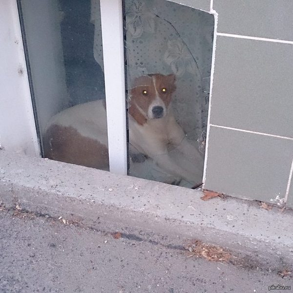 ����������� �������, ������ ��, ��� �� ����� �������� :D