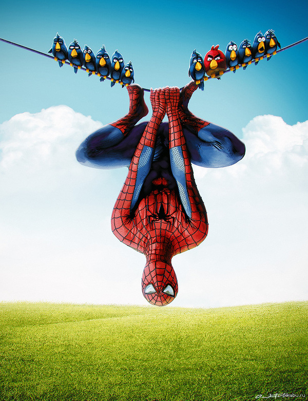 Spidey Vs Birds