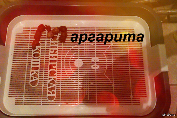 ����� ��� ������������� ����������