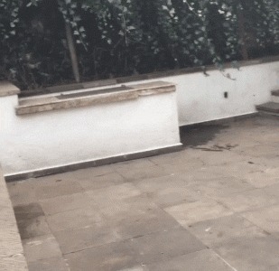 &quot;, !&quot; 