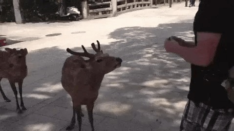 &quot;&quot; 