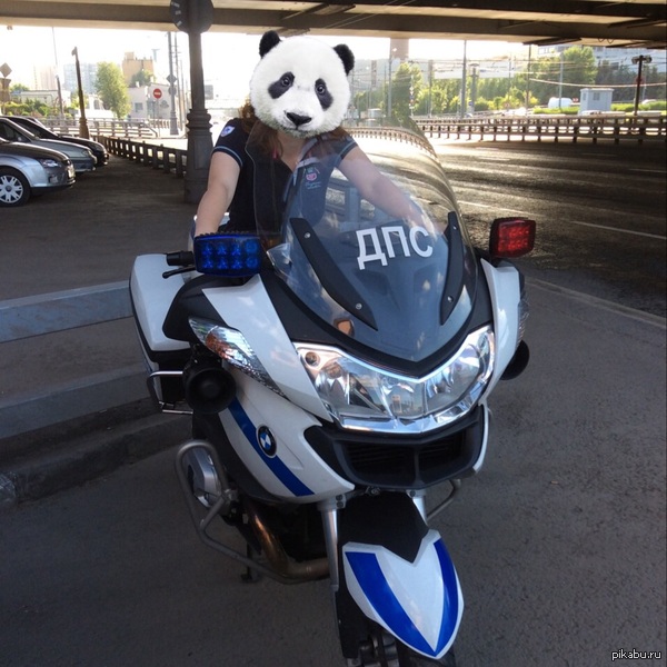 ����, ����� � 5 000 ������, ��� ������ �������.