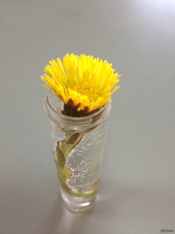 ������� �����