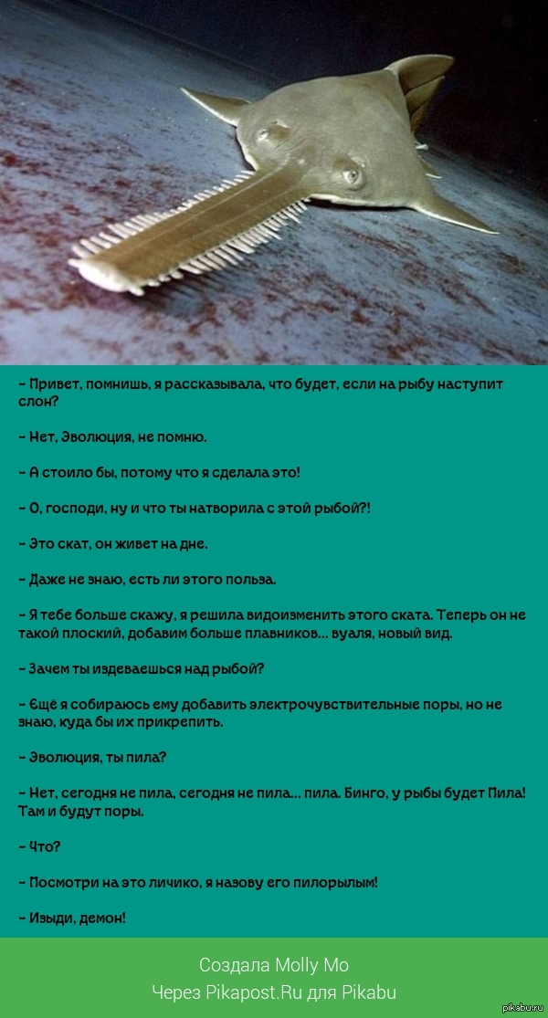 ��������, ��� �� �������!?