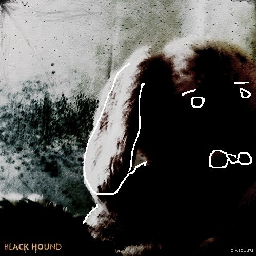 Black Hound -     (Black Hound,   .- )     ,     .   ,    , - .    ,   .     ,   / .