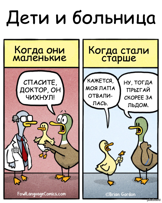Приколы про уток