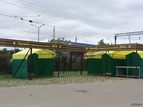 ������ �� ������