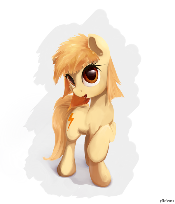    ,   .  ScootieBloom,    .    .