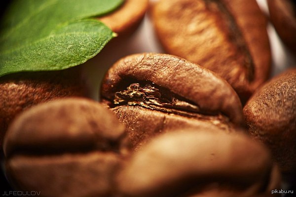 �����������. ���������.