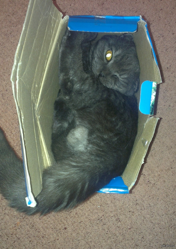 ��� ����� �������, � ������� �� �� ���� ���