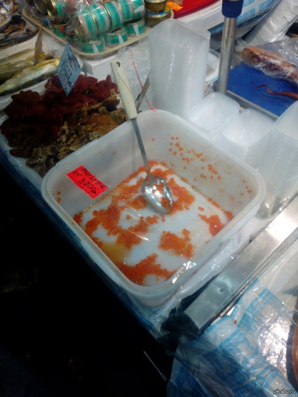 ������ � ������