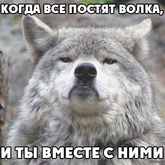 Раз уж на то пошло.