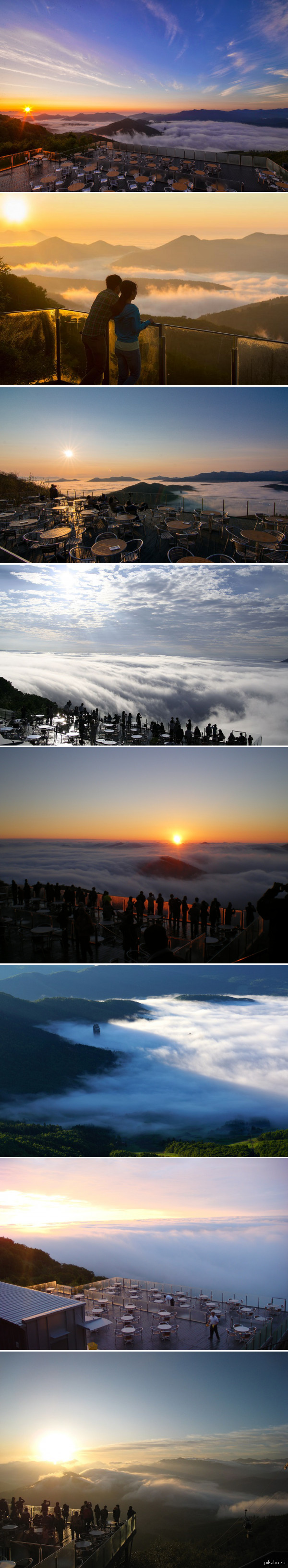 ������� ����� � ��������� �������� ��� ��������, ������.