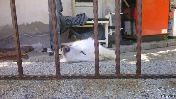 �������� ������