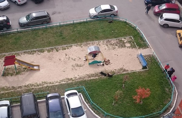 Дети проиграли эту битву