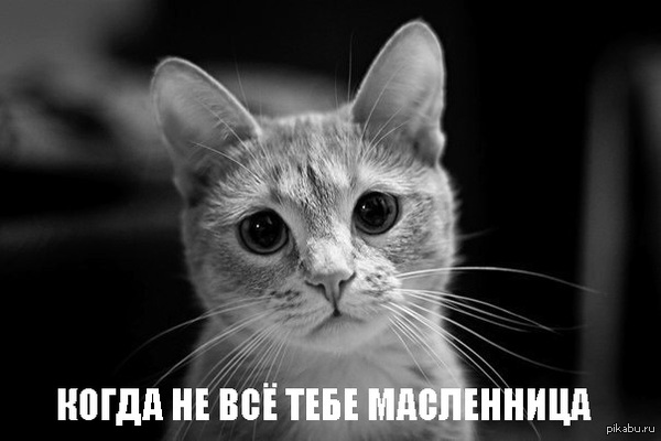 ��� ��������.