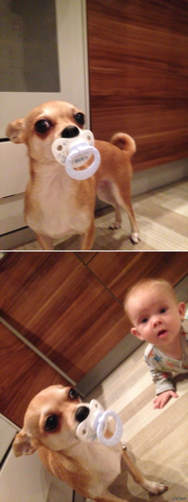 когда украл соску у ребенка.. | Пикабу