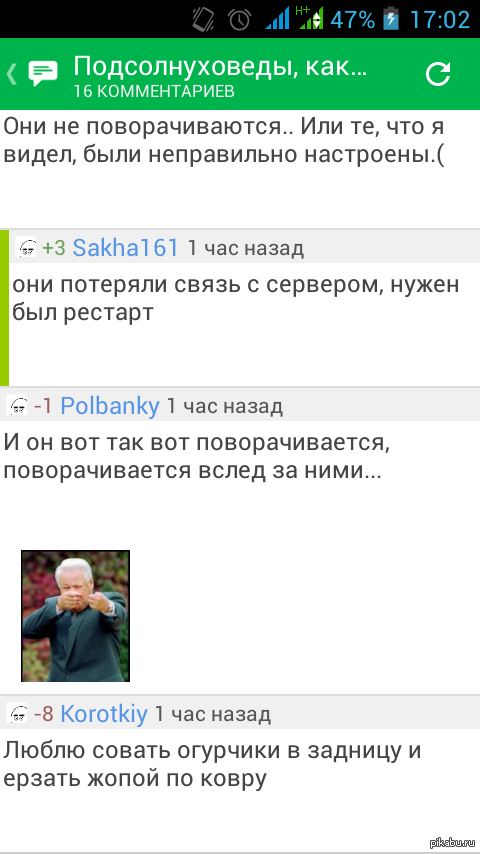 ����������...