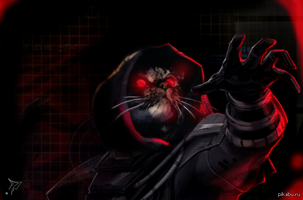 ���� ��� ���� �������!