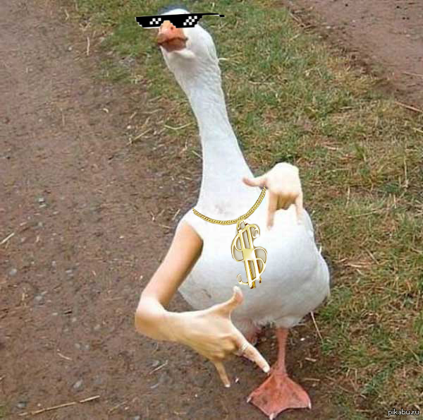 ������ � ���� ����!)