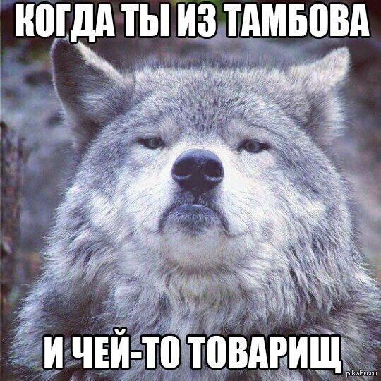 When you are from Tambov! - Wolf, Spinning top, Memes, Spinning top (yula)