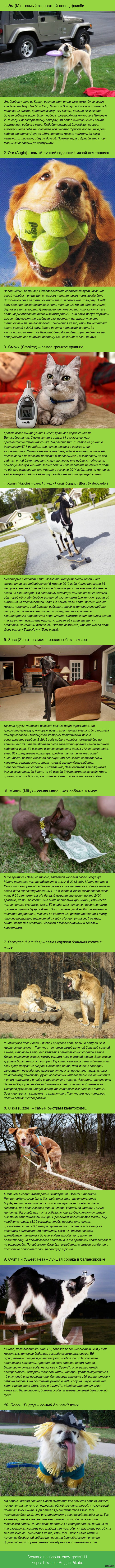 10 �������� ��������� � ����� �������� �������