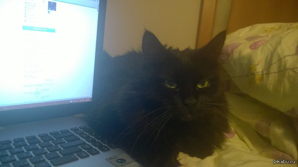 "Ну давай, выложи меня в интернет"