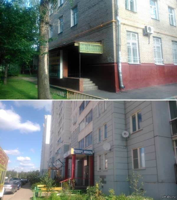 Странное сочетание | Пикабу