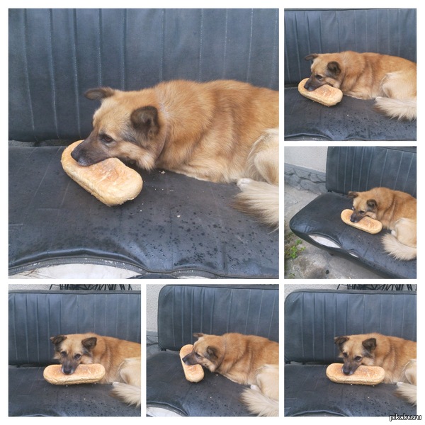 �������� ������