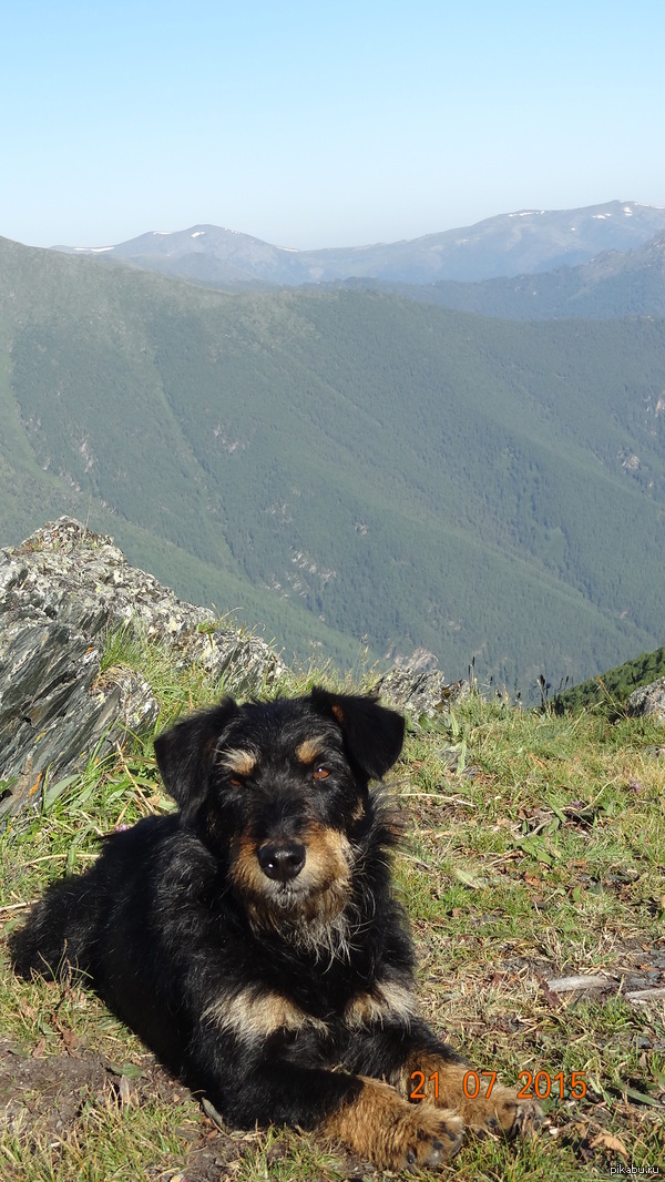 ����� �� �������