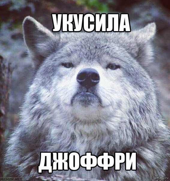 Баянистый волк | Пикабу