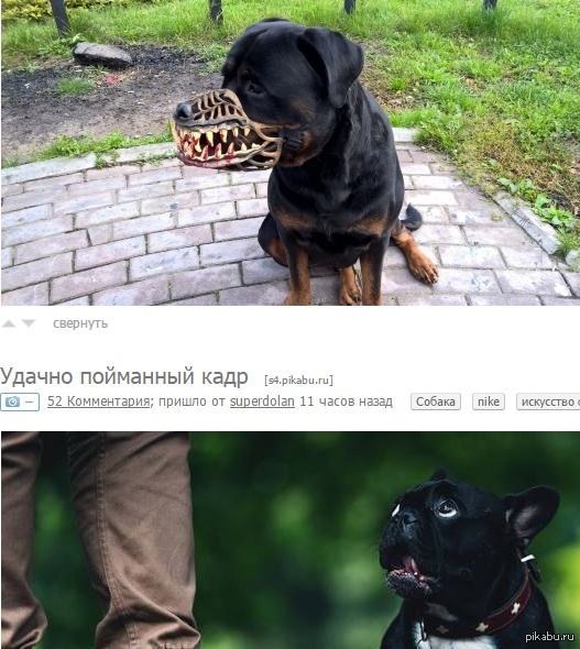 ������������� ������