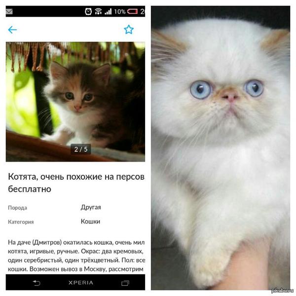 Очень похожи.