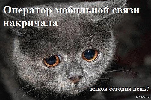 И они сдались.