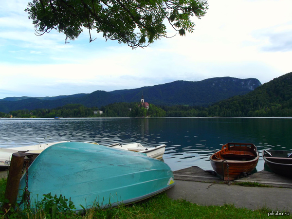 ����� ����