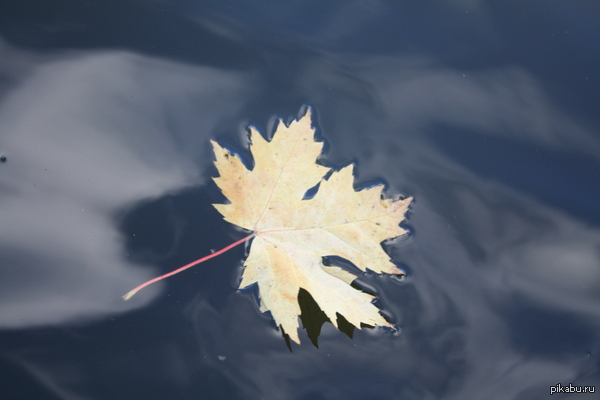 �������� ����