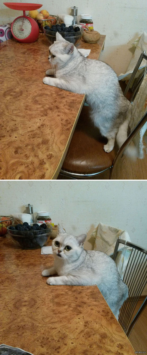 *вздох* Двойной виски со льдом, пожалуйста