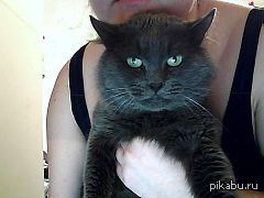 ���������� ��� ���)