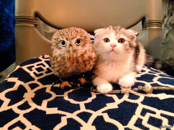 ����-��� � ������ (������)