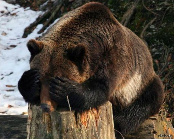 1-2-3-4-5 я иду искать