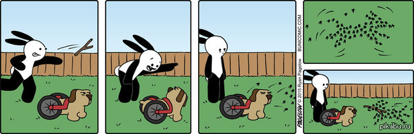  -, ,   .   -, !