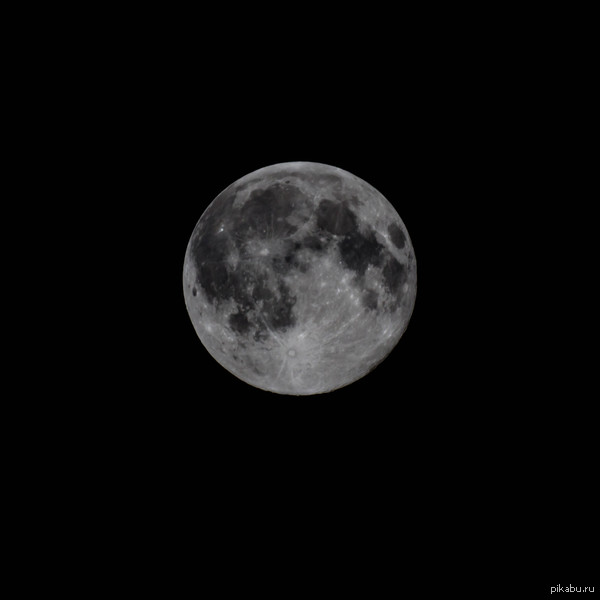 ������ ������������ ����