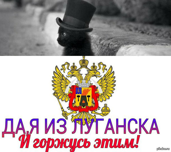 ДА, Я ИЗ ЛУГАНСКА. | Пикабу