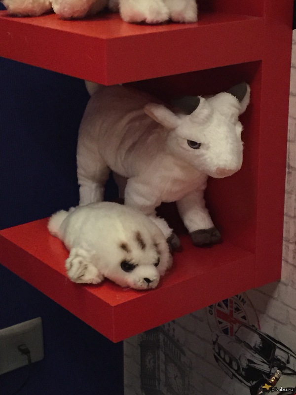 �������, ��� ������� ����� ���� �����..